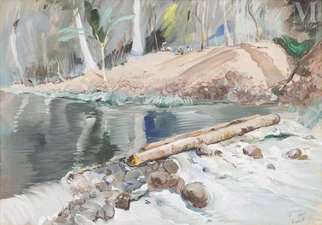 Torrent à Tahiti