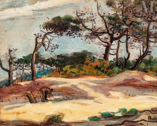 Les pins en Provence