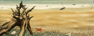 Bord de mer et coquillages