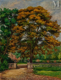 Les arbres dans le parc de la propriété, Sarthe